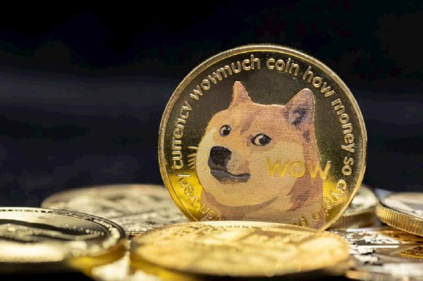 Ancient Dogecoin whales move 7 billion DOGE after 9 years of inactivity Ancient Dogecoin whales move 7 billion DOGE after 9 years of inactivity