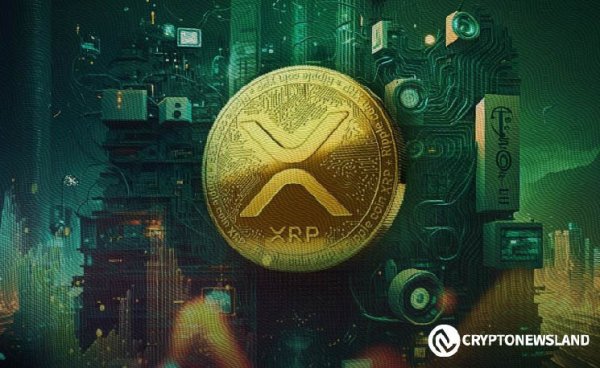 Holding Over 50,000 XRP: A Ticket to Becoming a Millionaire? Holding Over 50,000 XRP: A Ticket to Becoming a Millionaire?