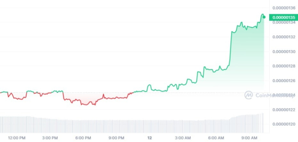 PEPE Leads Meme Coin Rally, Jumps 8%