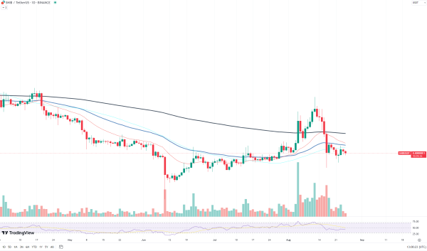 Shiba Inu (SHIB) on Verge of Testing Crucial Resistance Level Shiba Inu (SHIB) on Verge of Testing Crucial Resistance Level