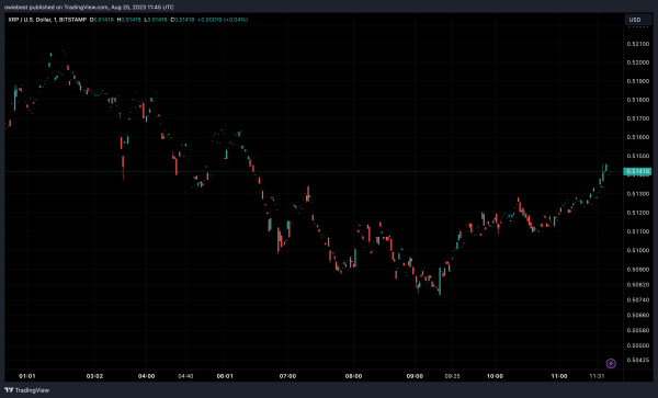 XRP Price Faces Immense Sell Pressure That Could Trigger 20% Decline