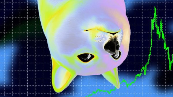 Shiba Inu memecoin declines as Shibarium mainnet goes live
