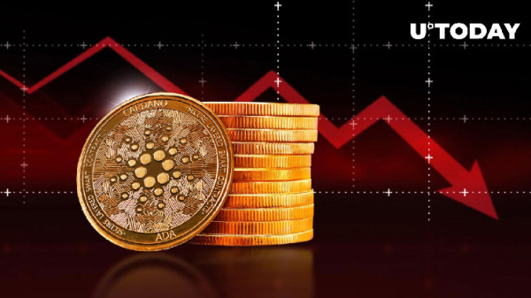 Epic 89% of Cardano (ADA) Holders Remain Locked in Losses