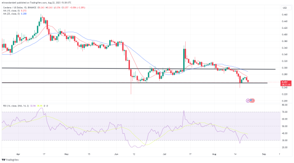 Biggest Movers: MATIC 5% Lower on Tuesday, Hitting a 2-Month Low