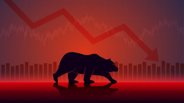 How to Behave During a Bear Market in Crypto