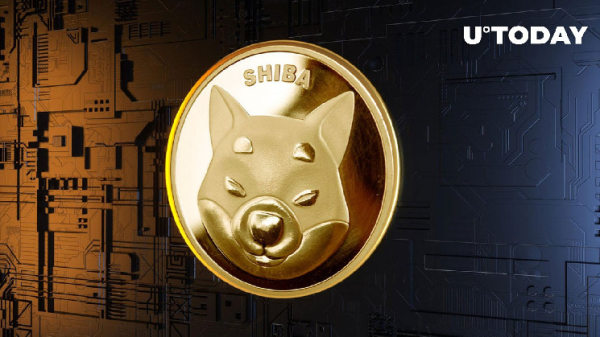 Shiba Inu (SHIB): New and Exciting Surprises Await