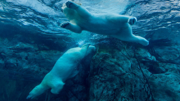 Altcoin Plunge Leads Crypto Lower; Bitcoin Slips 0.7% to $29,150 Altcoin Plunge Leads Crypto Lower; Bitcoin Slips 0.7% to $29,150