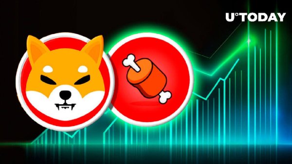 Shiba Inu: BONE Surprises With 50% Gain in Millionaire Addresses Shiba Inu: BONE Surprises With 50% Gain in Millionaire Addresses