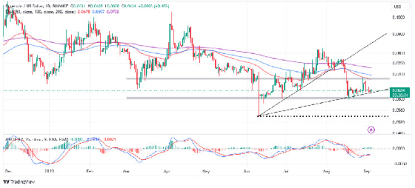 DOGE Price Speculators Eye Bullish Breakout Ahead of Elon Musk Biography Release