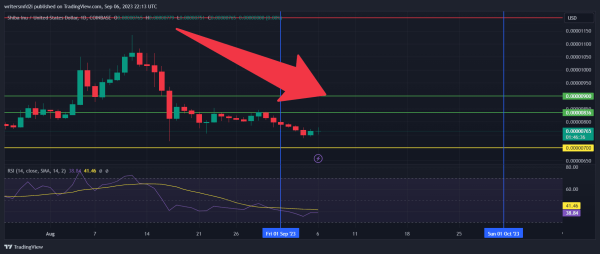 Why is Shiba Inu Crashing? BONE and SHIB in a Danger Zone?