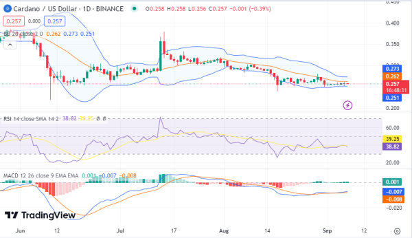 Daily Analysis: BTC, ETH, BNB, XRP, ADA