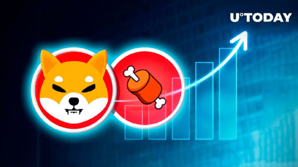 Shiba Inu's BONE Token Rockets 19% in Just 48 Hours Amid Explosive Address Surge