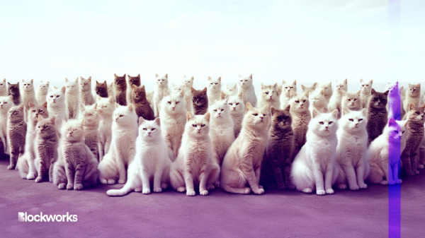 Crypto has a copycat problem