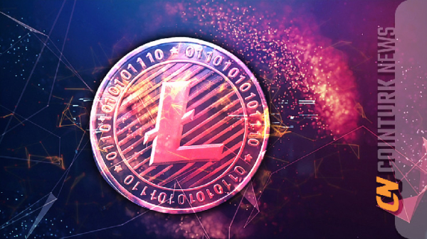 Reasons Behind the Rise in Litecoin Price and LTC Price Predictions