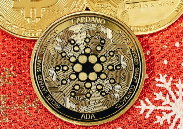 Dan Gambardello on Cardano's Market Potential and Comparison to Ethereum Dan Gambardello on Cardano's Market Potential and Comparison to Ethereum