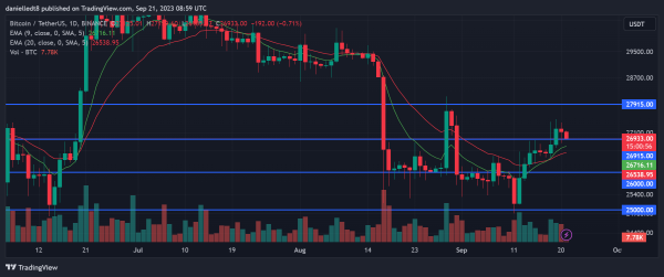 BTC, ARK, & WLD Technicals Give Mixed Signals About What Is Next
