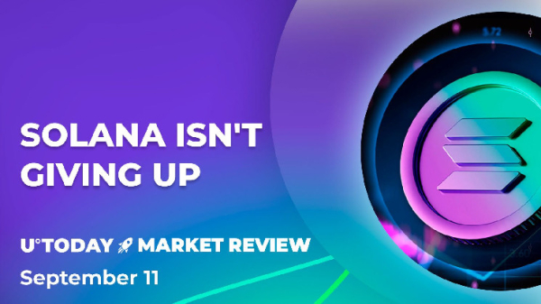 Solana (SOL) 30% Price Plummet Might End Around Here