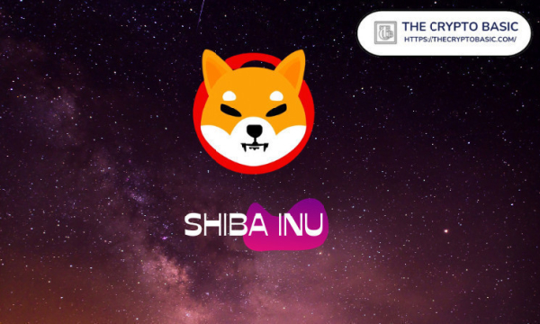 Shiab Inu Lead Developer Says It&rsquo;s Time to End Silence