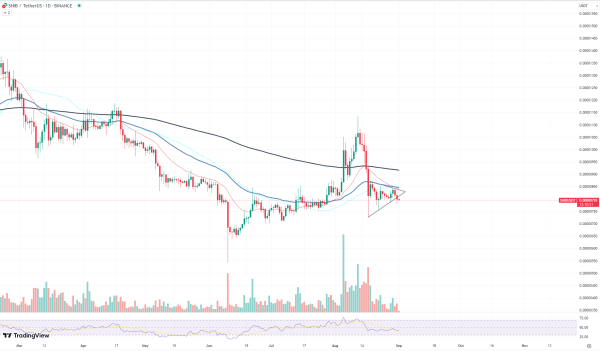Shiba Inu (SHIB) Bulls Getting Hang of Market, Data Shows