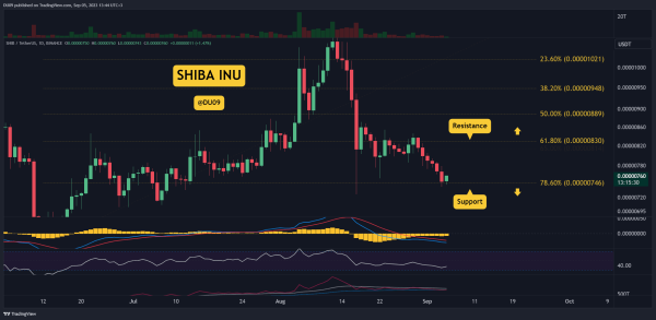 Recovery Rally or Another Crash for SHIB? 3 Things to Watch This Week (Shiba Inu Price Analysis)