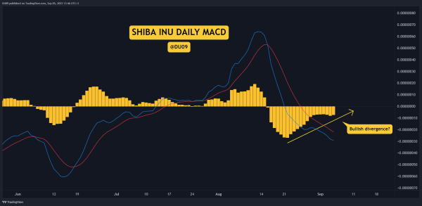 Recovery Rally or Another Crash for SHIB? 3 Things to Watch This Week (Shiba Inu Price Analysis)