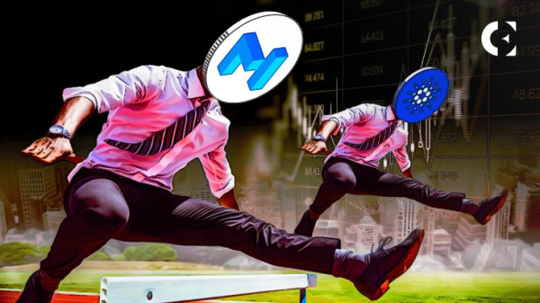 MATIC and ADA&rsquo;s Unexpected Recovery Raises Eyebrows