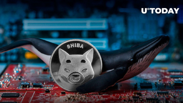 Shiba Inu (SHIB) Witnesses Epic $110 Million Whale Activity Amid 275% On-Chain Spike Shiba Inu (SHIB) Witnesses Epic $110 Million Whale Activity Amid 275% On-Chain Spike