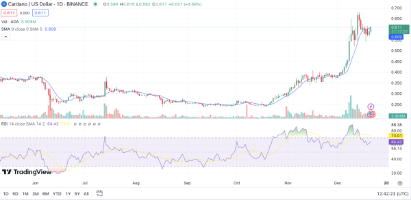 MATIC and ADA&rsquo;s Unexpected Recovery Raises Eyebrows