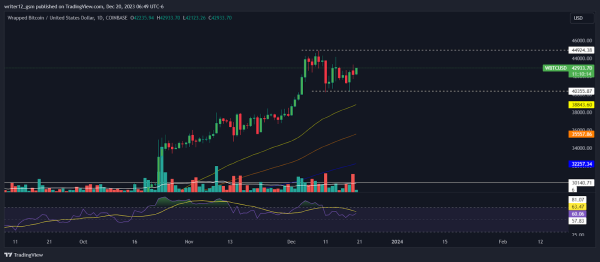 Wrapped Bitcoin Prediction: Will WBTC Price Hit 50K in 2024?