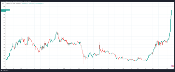 Cardano Community Celebrates Ada Lovelace Amid ADA Price Rise and Ecosystem Growth