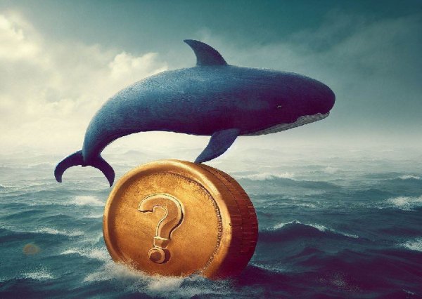 Patient Whale, Who Made 30x on This Altcoin, Started Profit Sales!