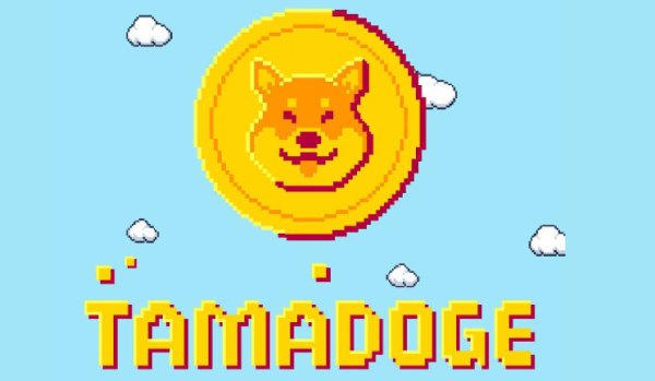 Baby Doge Price Prediction: Is Tamadoge (TAMA) The Best Meme Coin Investment Today?