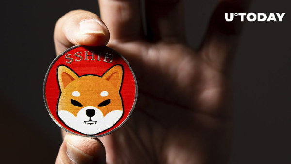 Shiba Inu Lead Teases Community with "Year-Ending Surprise"