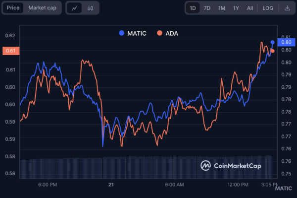 MATIC and ADA&rsquo;s Unexpected Recovery Raises Eyebrows