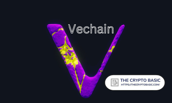 VeChain Launches Marketplace to Buy and Sell Nodes VeChain Launches Marketplace to Buy and Sell Nodes