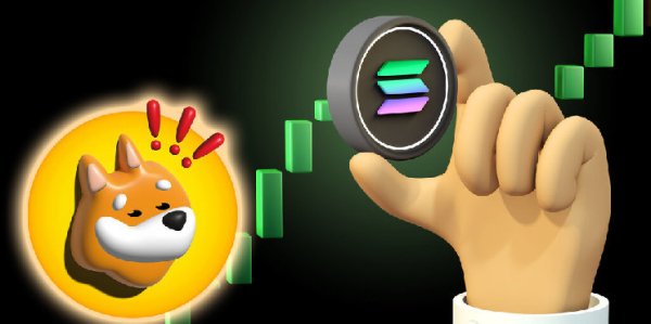 BONK Won't Stop: Solana Meme Coin Sets Another All-Time High BONK Won't Stop: Solana Meme Coin Sets Another All-Time High