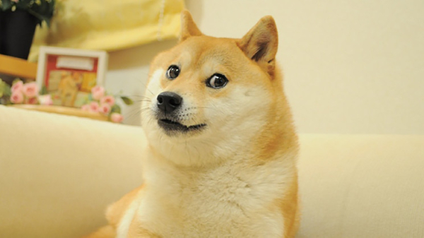 Polygon Stops Work on 'Edge,' Used to Build Dogechain, as Focus Turns to ZK Polygon Stops Work on 'Edge,' Used to Build Dogechain, as Focus Turns to ZK