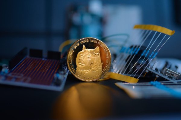 What You Need to Know Before Investing in Meme Coins What You Need to Know Before Investing in Meme Coins