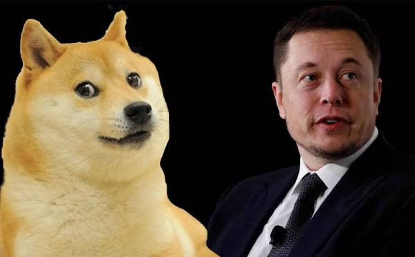 Shocking Hidden Dogecoin Detail in Elon Musk’s New Product Cybertruck’s Website Code Shocking Hidden Dogecoin Detail in Elon Musk’s New Product Cybertruck’s Website Code