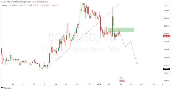 Dogecoin Price To Pump To $1 In February If Network Activity Keeps Surging