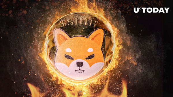 Shiba Inu (SHIB) Burn Rate Jumps 543% in Defiance of SHIB Price Drop Shiba Inu (SHIB) Burn Rate Jumps 543% in Defiance of SHIB Price Drop