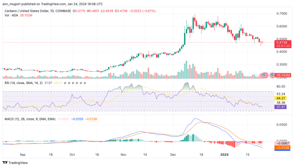 Cardano Price Prediction: Bulls Poised for New Rally, Will ADA Defy The Odds?