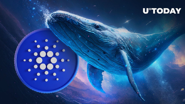 Cardano (ADA) Whale Activity Surges Massively: What's Happening?