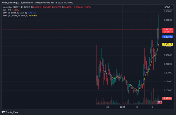 Did WIF Insider Buy Before Binance Listing? Here Are the Details Did WIF Insider Buy Before Binance Listing? Here Are the Details