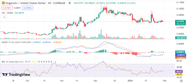 Dogecoin Price To Pump To $1 In February If Network Activity Keeps Surging