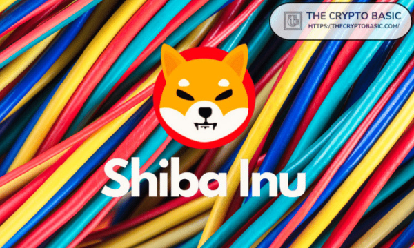 Shiba Inu: If You Invested $1000 In 2020, How Much Could You Make?