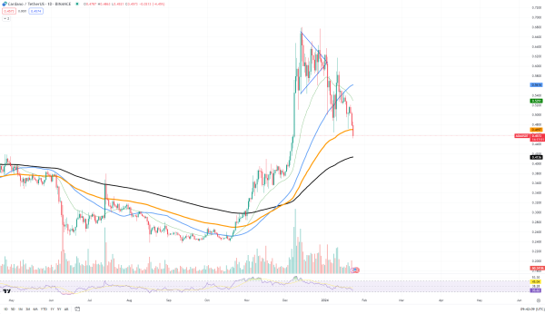 Cardano (ADA) On-Chain Activity Extremely Suspicious