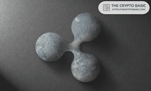 Sleuth Exposes Why Ripple is in Favor of an AMM on the XRP Ledger