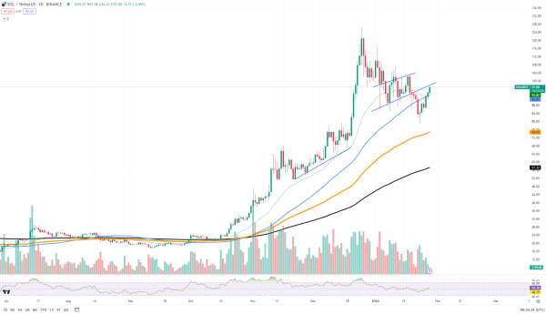 Solana (SOL) Paints Extremely Bullish Reversal Chart Pattern