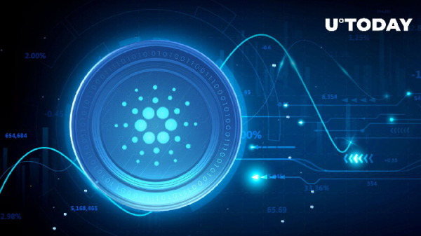 Cardano Sees Massive 27 Billion ADA Whale Transactions Amid Price Drop Cardano Sees Massive 27 Billion ADA Whale Transactions Amid Price Drop